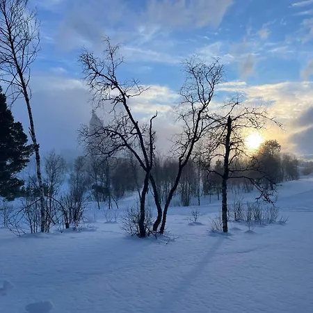 Cozy In The Center Of * Geilo